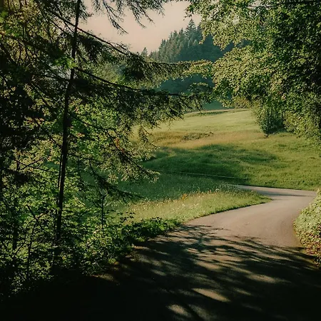 Ξενοδοχείο Hirschen - Fine Hotel, Restaurant & Schwarzenberg im Bregenzerwald