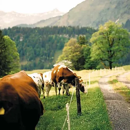 Hirschen - Fine Hotel, Restaurant & Hotel 4*