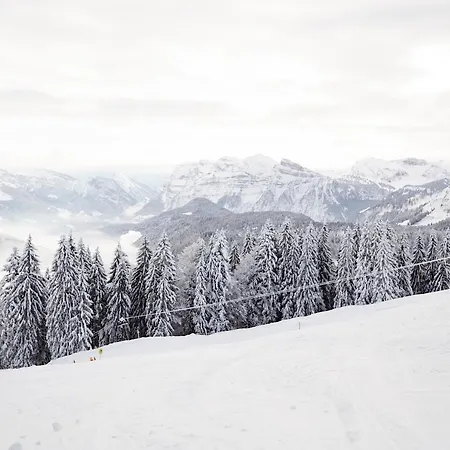 Hirschen - Fine Hotel, Restaurant&spa Schwarzenberg im Bregenzerwald