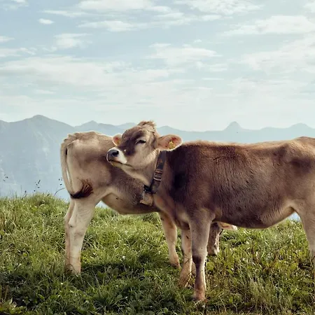 Hirschen - Fine Hotel, Restaurant&spa Hotel Schwarzenberg im Bregenzerwald